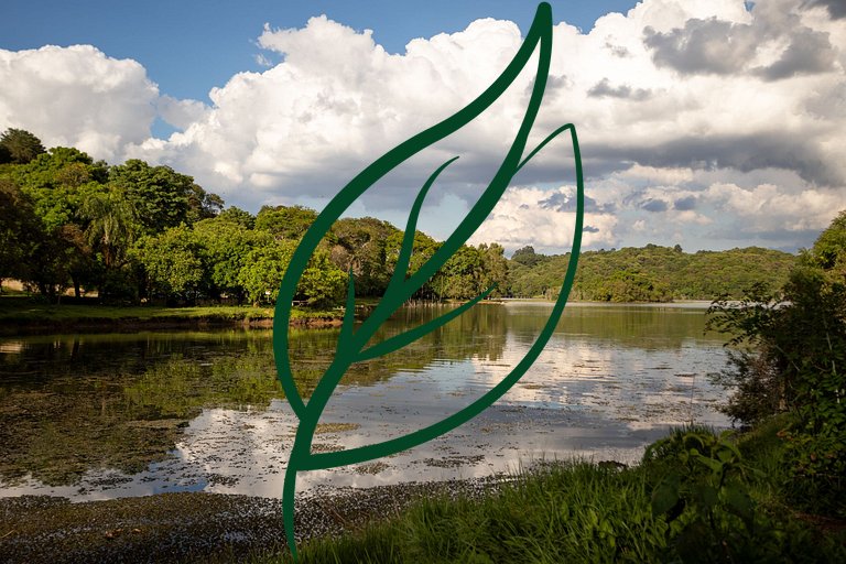 Refúgio de Luxo e Piscina à beira do Passaúna