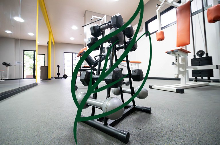 Próx. Barigui | Piscina, Academia e Bikes
