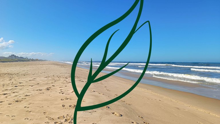 Piscina e Espaço Gourmet | A 50m da Praia