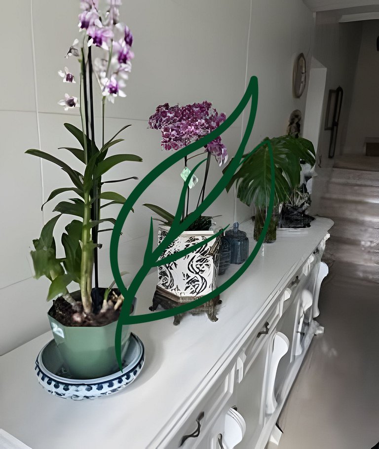 Casa com 3 suítes, hidro e churrasqueira